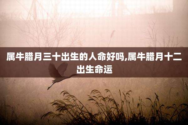 属牛腊月三十出生的人命好吗,属牛腊月十二出生命运