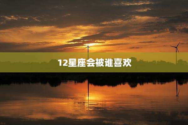 12星座会被谁喜欢
