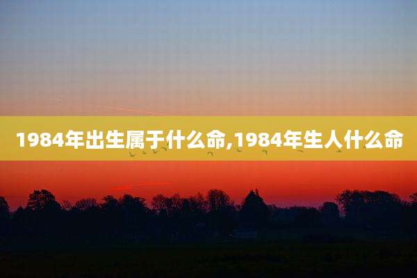 1984年出生属于什么命,1984年生人什么命