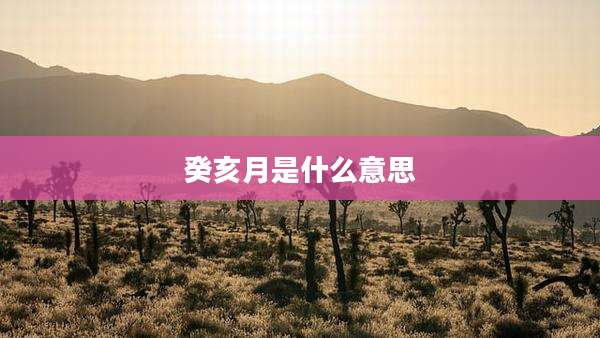 癸亥月是什么意思