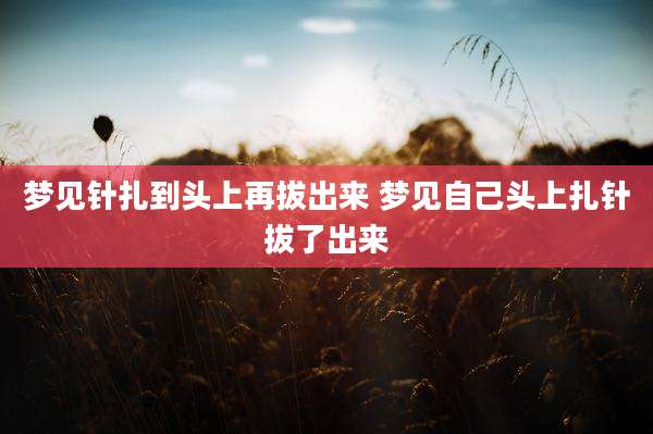 梦见针扎到头上再*** 梦见自己头上扎针拔了出来