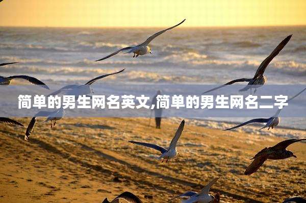 简单的男生网名英文,简单的男生网名二字