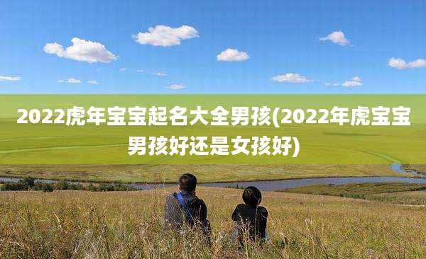 2022虎年宝宝起名大全男孩(2022年虎宝宝男孩好还是女孩好)