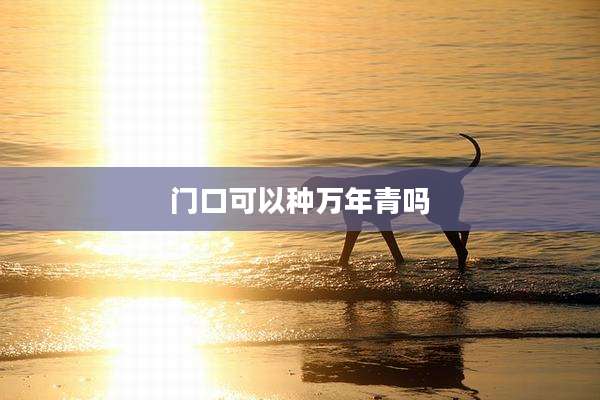 门口可以种万年青吗