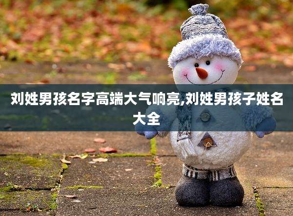 刘姓男孩名字高端大气响亮,刘姓男孩子姓名大全