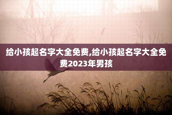 给小孩起名字大全免费,给小孩起名字大全免费2023年男孩