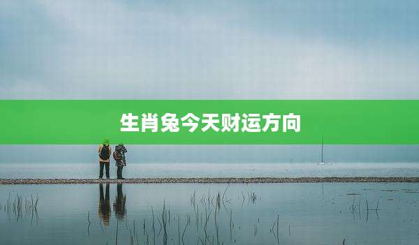生肖兔今天财运方向