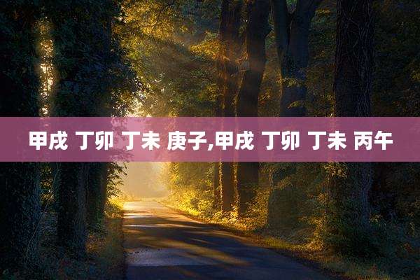 甲戌 丁卯 丁未 庚子,甲戌 丁卯 丁未 丙午