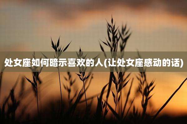 处女座如何暗示喜欢的人(让处女座感动的话)
