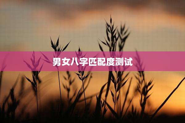 男女八字匹配度测试