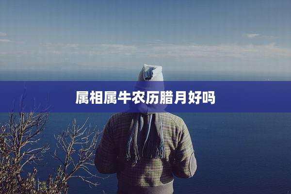 属相属牛农历腊月好吗
