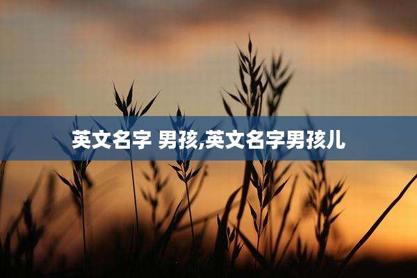 英文名字 男孩,英文名字男孩儿