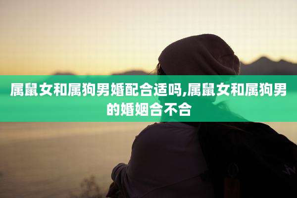属鼠女和属狗男婚配合适吗,属鼠女和属狗男的婚姻合不合