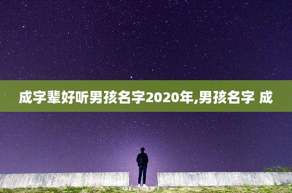 成字辈好听男孩名字2020年,男孩名字 成