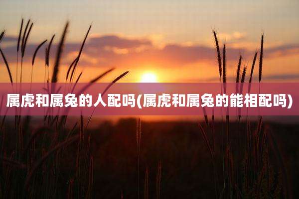 属虎和属兔的人配吗(属虎和属兔的能相配吗)