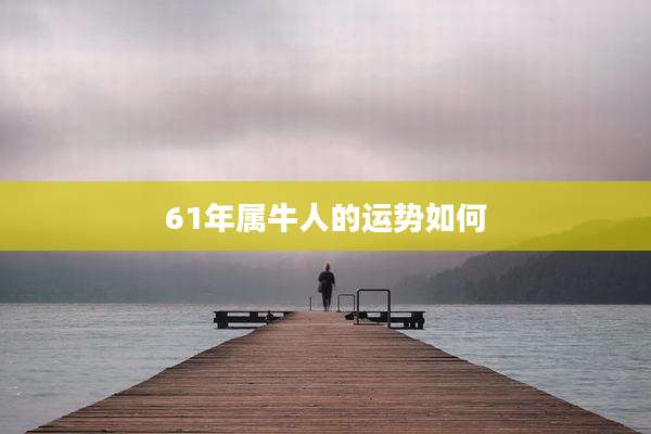61年属牛人的运势如何