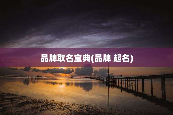 品牌取名宝典(品牌 起名)