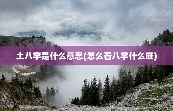 土八字是什么意思(怎么看八字什么旺)