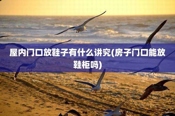 屋内门口放鞋子有什么讲究(房子门口能放鞋柜吗)