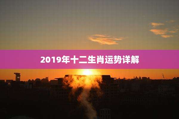 2019年十二生肖运势详解