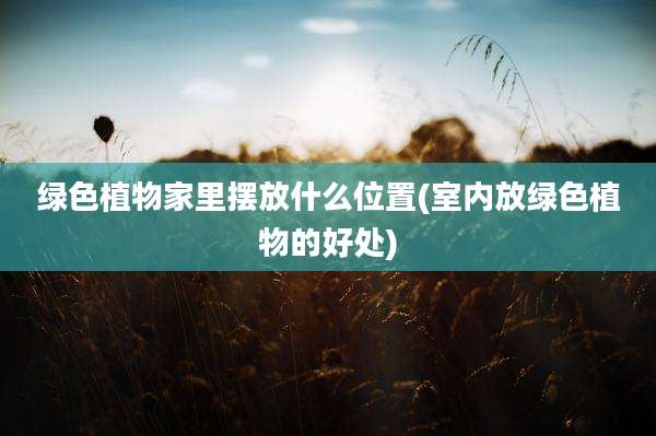 绿色植物家里摆放什么位置(室内放绿色植物的好处)
