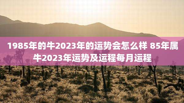 1985年的牛2023年的运势会怎么样 85年属牛2023年运势及运程每月运程