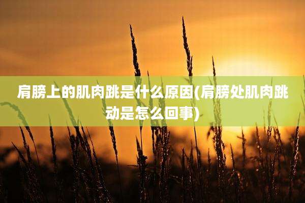 肩膀上的肌肉跳是什么原因(肩膀处肌肉跳动是怎么回事)