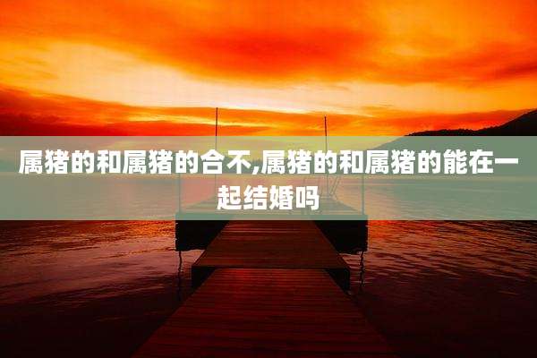 属猪的和属猪的合不,属猪的和属猪的能在一起结婚吗