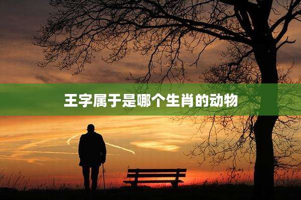 王字属于是哪个生肖的动物