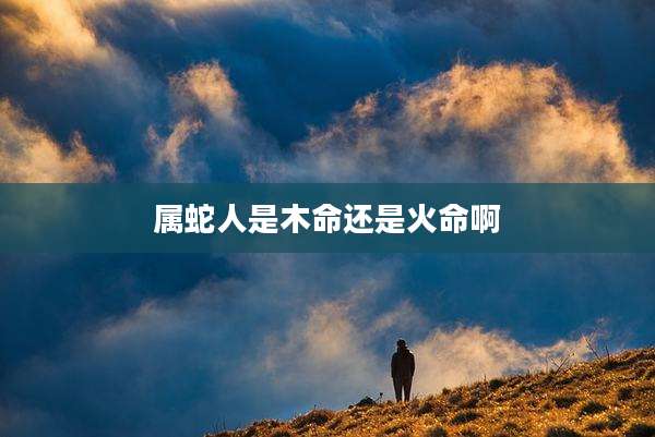 属蛇人是木命还是火命啊