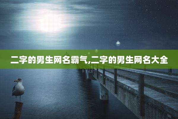二字的男生网名霸气,二字的男生网名大全