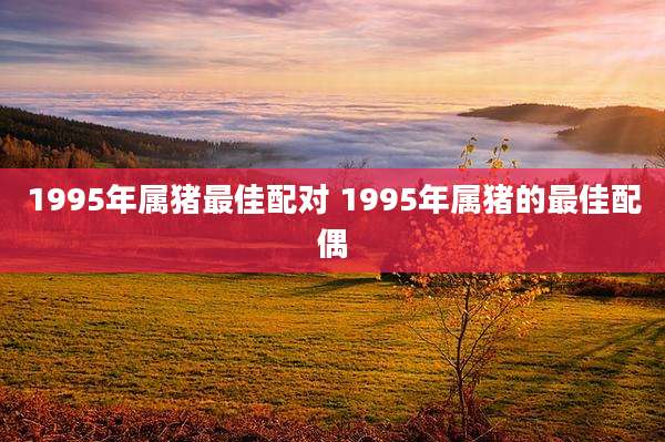 1995年属猪最佳配对 1995年属猪的最佳配偶