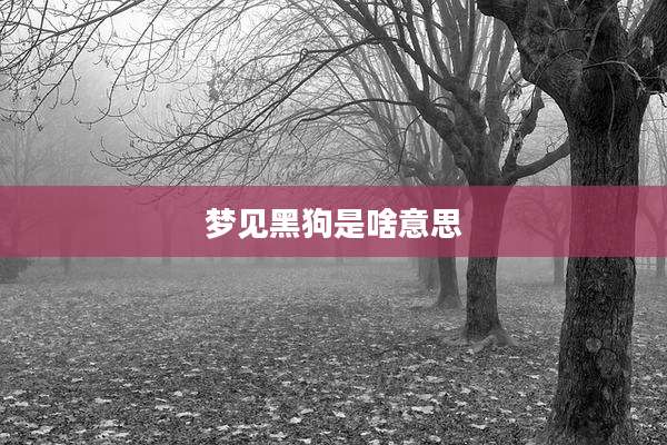梦见黑狗是啥意思