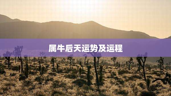 属牛后天运势及运程