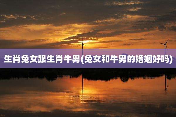 生肖兔女跟生肖牛男(兔女和牛男的婚姻好吗)