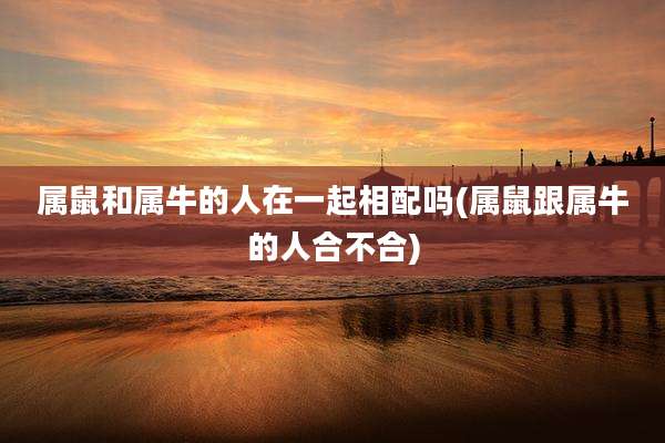 属鼠和属牛的人在一起相配吗(属鼠跟属牛的人合不合)
