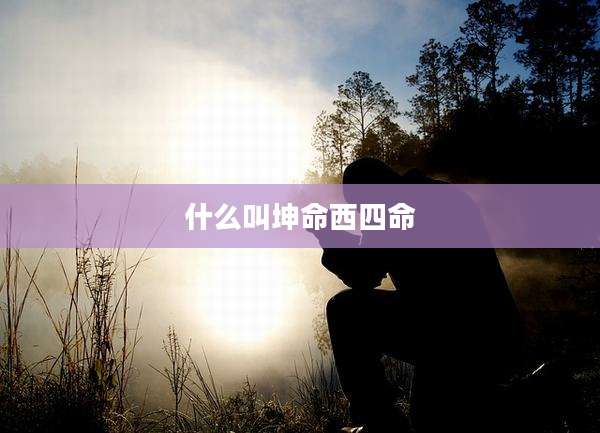 什么叫坤命西四命