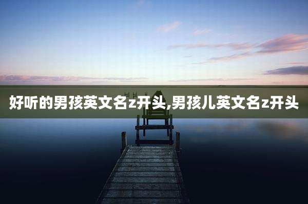 好听的男孩英文名z开头,男孩儿英文名z开头