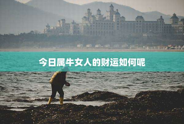 今日属牛女人的财运如何呢