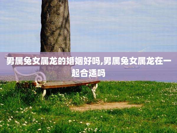 男属兔女属龙的婚姻好吗,男属兔女属龙在一起合适吗