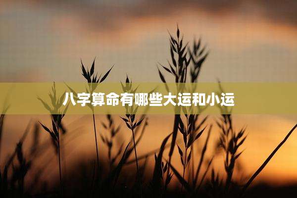 八字算命有哪些大运和小运