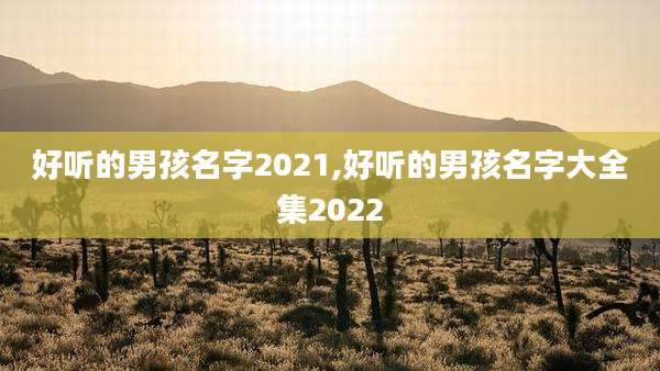好听的男孩名字2021,好听的男孩名字大全集2022