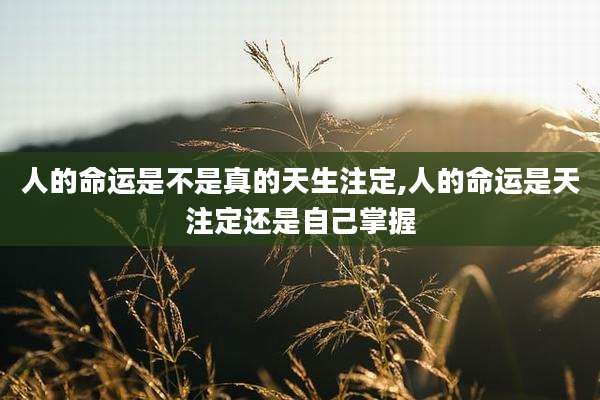 人的命运是不是真的天生注定,人的命运是天注定还是自己掌握