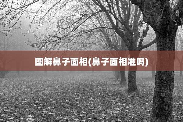 图解鼻子面相(鼻子面相准吗)