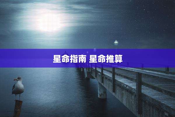 星命指南 星命推算
