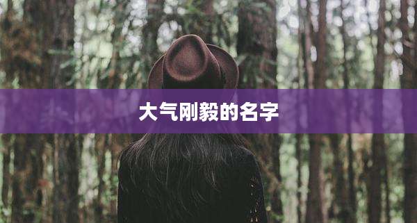 大气刚毅的名字