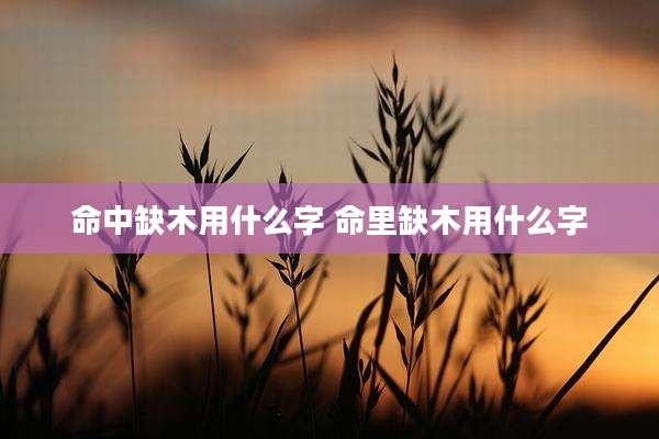 命中缺木用什么字 命里缺木用什么字