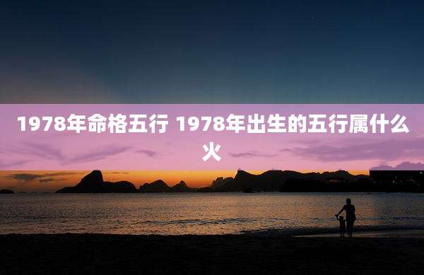 1978年命格五行 1978年出生的五行属什么火