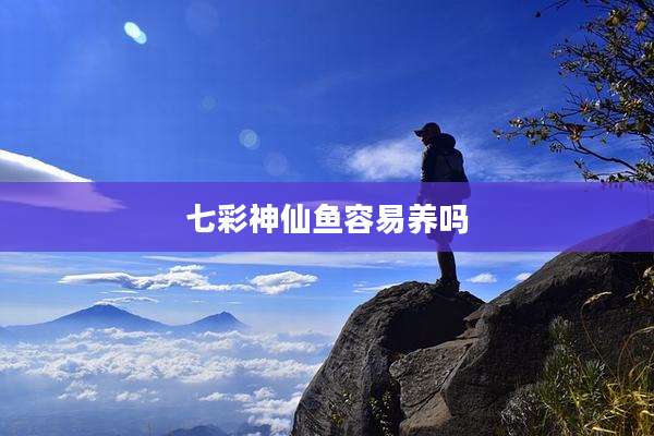七彩神仙鱼容易养吗