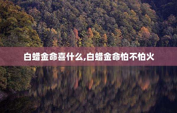 白蜡金命喜什么,白蜡金命怕不怕火